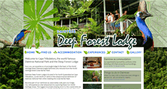 Desktop Screenshot of daintreedeepforestlodge.com.au